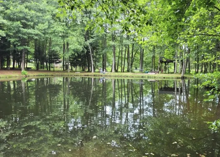 Camping Chez Dom&oli Gina Park