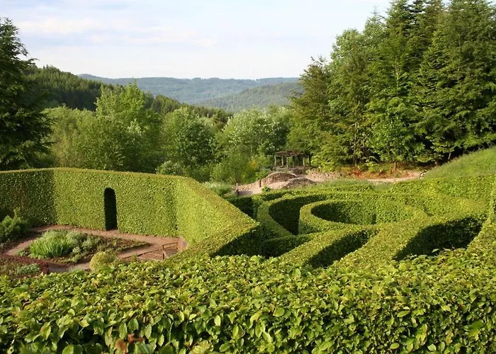 Chez Dom & Oli Gina Park Kemp